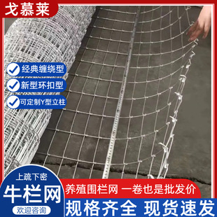 �Bֳ�W  ��ԭ�r�����ھW���Y�W  �T�F���^���Ӻ�����