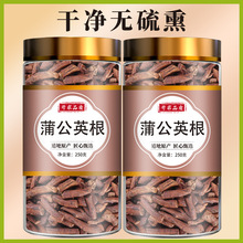 蒲公英根茶东北土特产鲜婆婆丁大段散装500克莆公英根整根药材