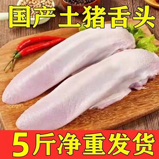 ����Ʒ�|��5���i���^�r��ɢ�B���r�i�ڗl�i���^��������i�Tǻ
