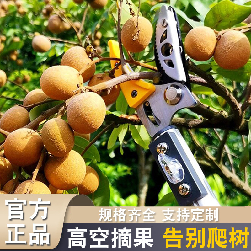 树枝果树水果剪刀修枝剪伸缩高空剪枝高枝剪摘果器采果摘果剪荔枝