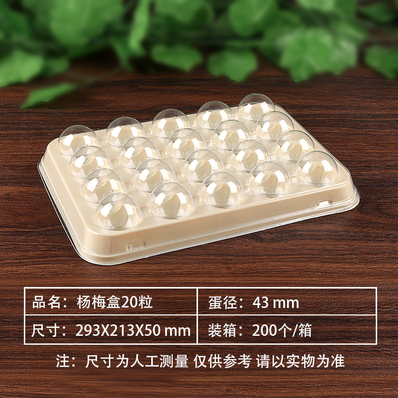 Dongkui Yangmei caja grande boutique engrosada blister caja de embalaje desechable sola bandeja Yangmei vacío expreso bandeja