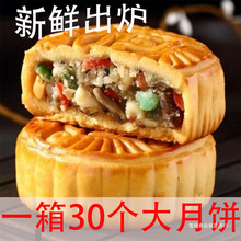 【一箱30个】老五仁广式大月饼多口味手工传统独立包装新鲜日期