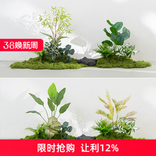����Gֲ�쾰�M���҃ș�������ֲ�ﾰ�^�b����̦�\����΢���^