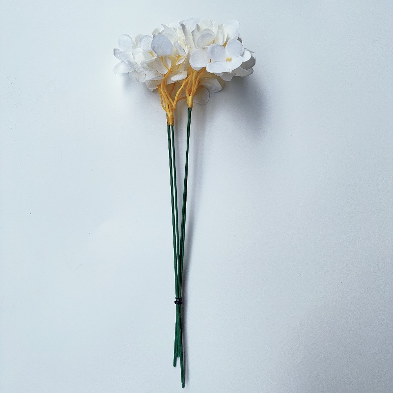 단일 수국