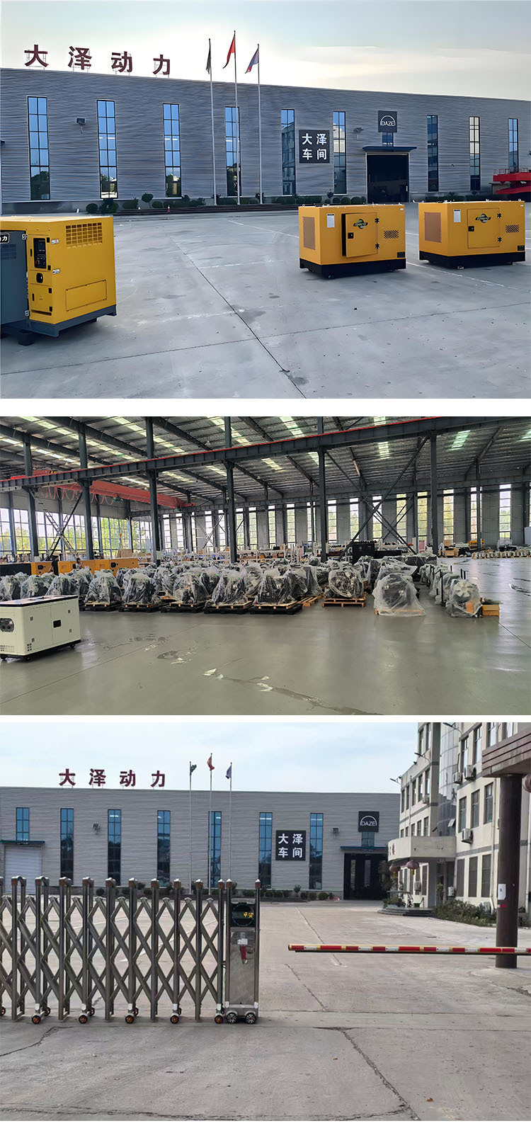 大泽展示-1