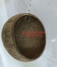 Ҭ�Ӛ��B�C�W�^�C����Ғ��ļ�ĵ����C˯�X���������B��(�����\