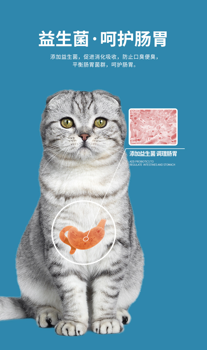 猫粮_10.jpg
