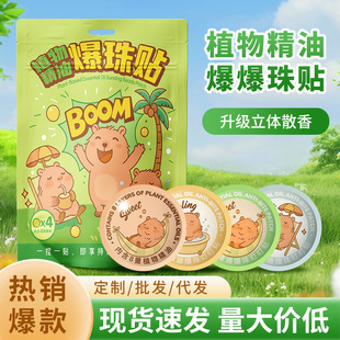 Wholesale Plant Essential Oil Bead Patches for Indoor and Outdoor Use, Anti-Bite Cartoon Portable Essential Oil Patches, Mugwort Anti-Bite Patches, Mosquito Repellent Patches