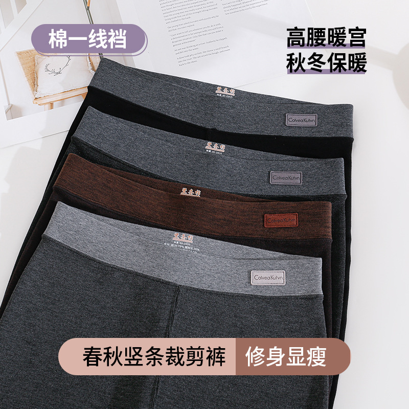 Women's outerwear leggings for autumn and winter, fleece-lined, thickened, cotton, vertical stripe, nine-point length, one-line crotch, cotton black pants, ribbed tights
