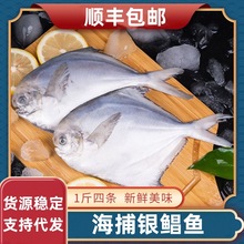 �y�K�~���r�����̖ƽ�~���a�����~�o�E�~���׺��rˮ�a�r�����~