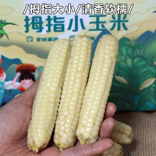 广州玛旁央措贸易有限公司