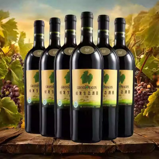 �������B�������x�������ɼt���Ѿ��̄���Ո��Ʒ��֧750ml6ƿ�b��