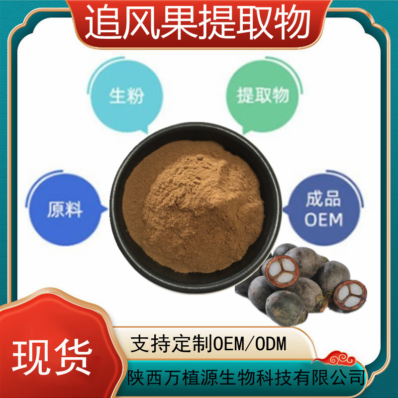 追风果提取物 10:1桄榔子提取物  追风果粉 追风果浸膏粉  现货