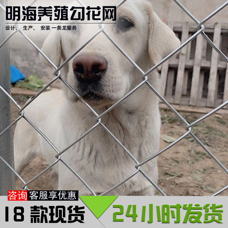 圈地勾花网隔离热镀锌农场果园防护围栏网户外鸭铁丝网铁丝网养鸡