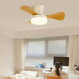 吸顶灯;吊灯;风扇灯