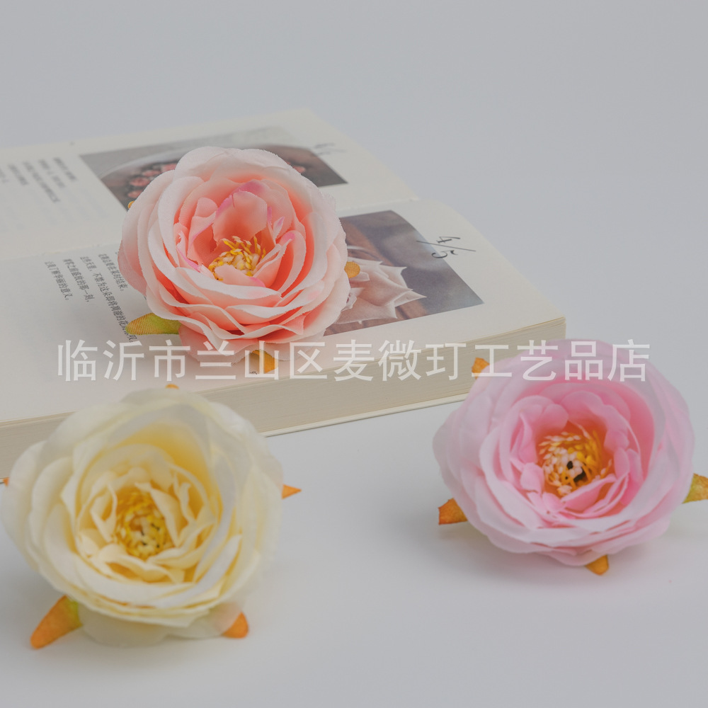 5E4A8774.jpg