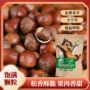 东北新款特产大榛子