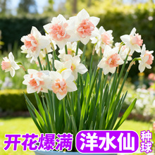 ��ˮ�ɷN���M��ˮ�ɻ��N��ˮ�������҃Ȼ�����ˮ�ɻ��N��ˮ��ֲ��