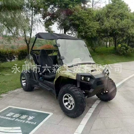 沙滩车;其他摩托车;其他电动车