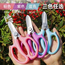 花艺剪刀花艺师专用插花剪刀修枝剪家用剪花花枝花店专用修花剪子