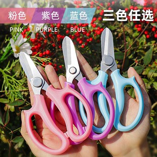 ��ˇ������ˇ�����ò廨������֦�����ü�����֦���ꌣ���޻�����