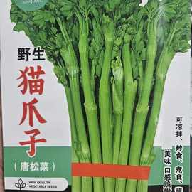 野生猫爪子种子春季庭院种植发芽率高营养丰富东北野菜唐松菜种子