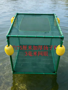 �~�W���~�oҰឺڿ��B�~�W����x�W���~���B�S�X���q�Bֳ�W��