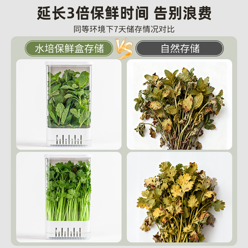 Caja de conservación hidráulica de cilantro, cebolla, ajo, vainilla, menta, plántulas de ajo, espárragos, caja de almacenamiento de refrigerador de agua, artefacto de conservación