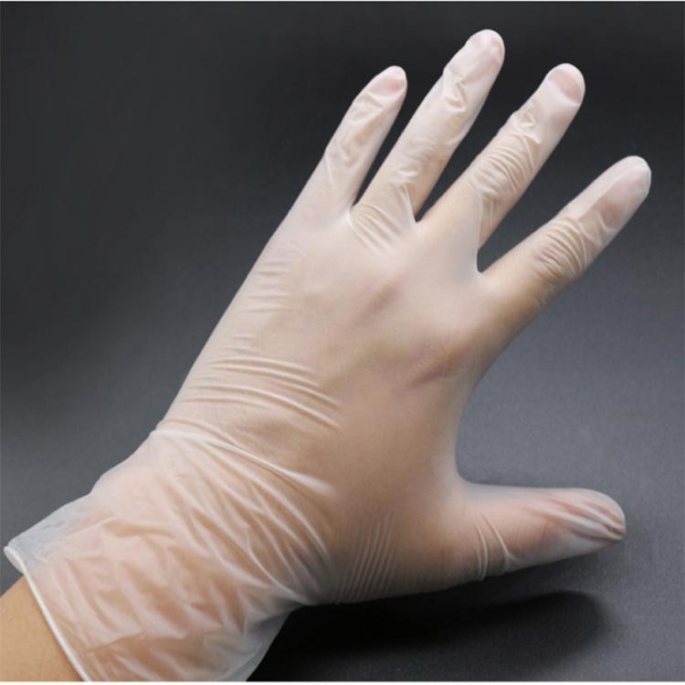 Noodle Master Disposable PVC Powder-Free Gloves For Food Baking Kitchen Use 20 Pieces Large Medium Small Sizes_voghion.com