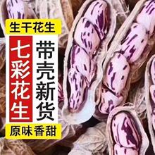 云南新货七彩花生原味带壳新鲜水果花生 晒干小零食 净重发货