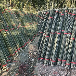 �@ˇ֧�ΗU�N����ʹ�ܼ���l�����S�ϹϹ��߲����ټܲ�����̫��