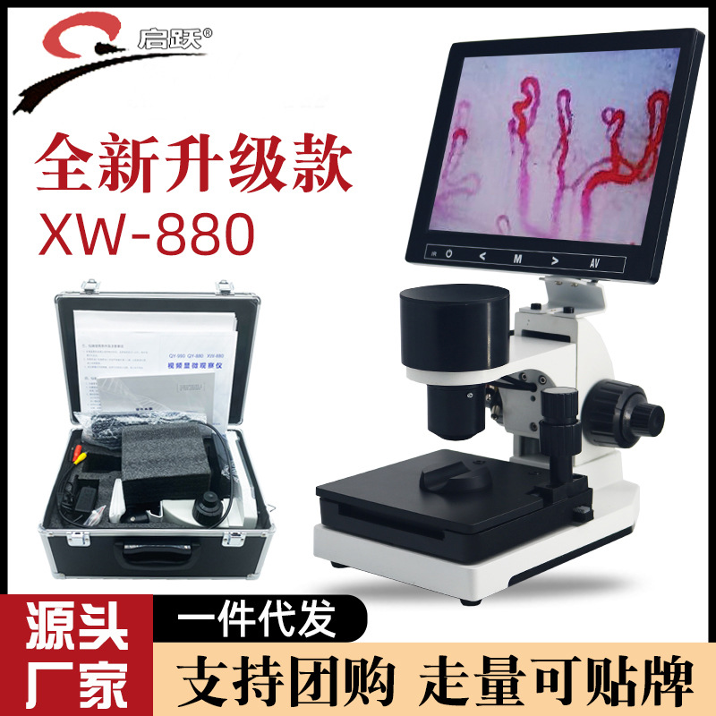 启跃厂家XW880高清微型循环观察仪末梢血管显微镜血管显像检测仪