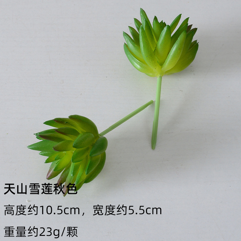 严选仿真多肉植物盆景植绒迷你假多肉配件插花绿植墙DIY装饰摆件|undefined