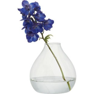 European Simple Glass Vase Transparent Hydroponic Flower Device Desktop Decoration Decorative Crafts