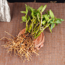 ʯ����4���Ұ���FƤʯ���N���FƤ�����Բ������͘�Ƥ���|