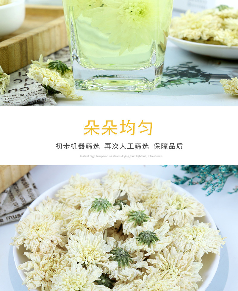 Huangshan Gong Ju Chrysanthemum (Chrysanthemum morifolium) — Dried White Flower Tea, 500g in use