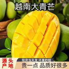 ����â����â������â����â����Ұ����ɳ�Խ�ϴ���â�����Դ���