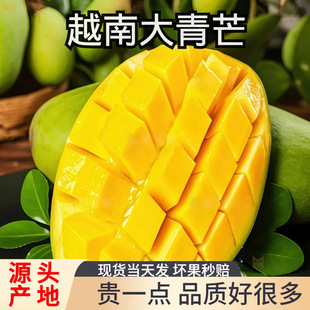 ����â����â������â����â����Ұ����ɳ�Խ�ϴ���â�����Դ���