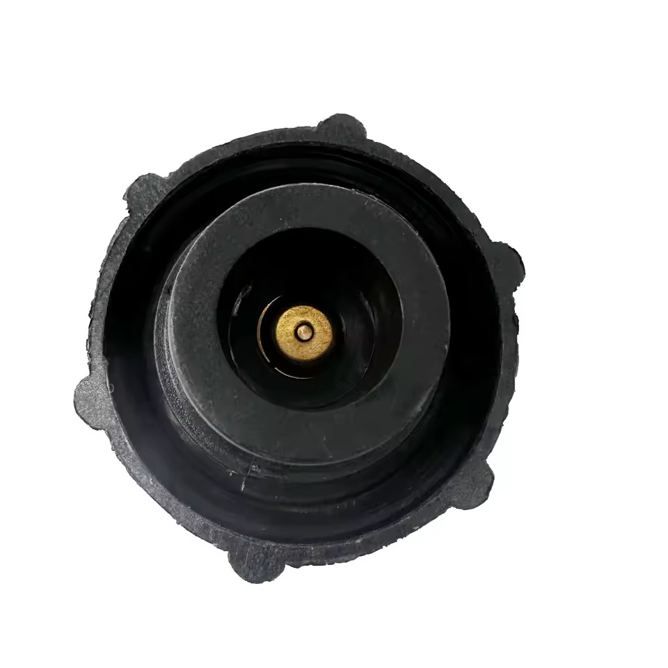 S13110010-D2 water tank cover auxiliary water bottle cover suitable for Jianghuai sunshine expansion water bottle cover