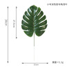 Simulation turtle back leaf fake leaf home decoration leaf simulation plant landscaping plant wall decorative glue turtle back leaf