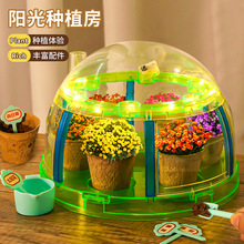抖音爆款阳光种植房科教实验益智创意盆栽栽种儿童互动网红玩具