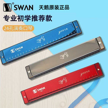 ���Z����24�׏���C�{���W�ߌW����ͯ���T��ʿŮ���ˌ��I���༉