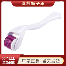 美容院540滚针家用滚轮微针 不锈钢钛合金精华导入仪器面部家用针