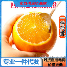 【活动款】四川爱媛果冻橙新鲜橙子水果当季对接电商直播产地直发