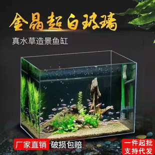 Living room small ultra-white fish tank HD glass straw tank rectangular water-free landscape tank desktop lazy fish tank