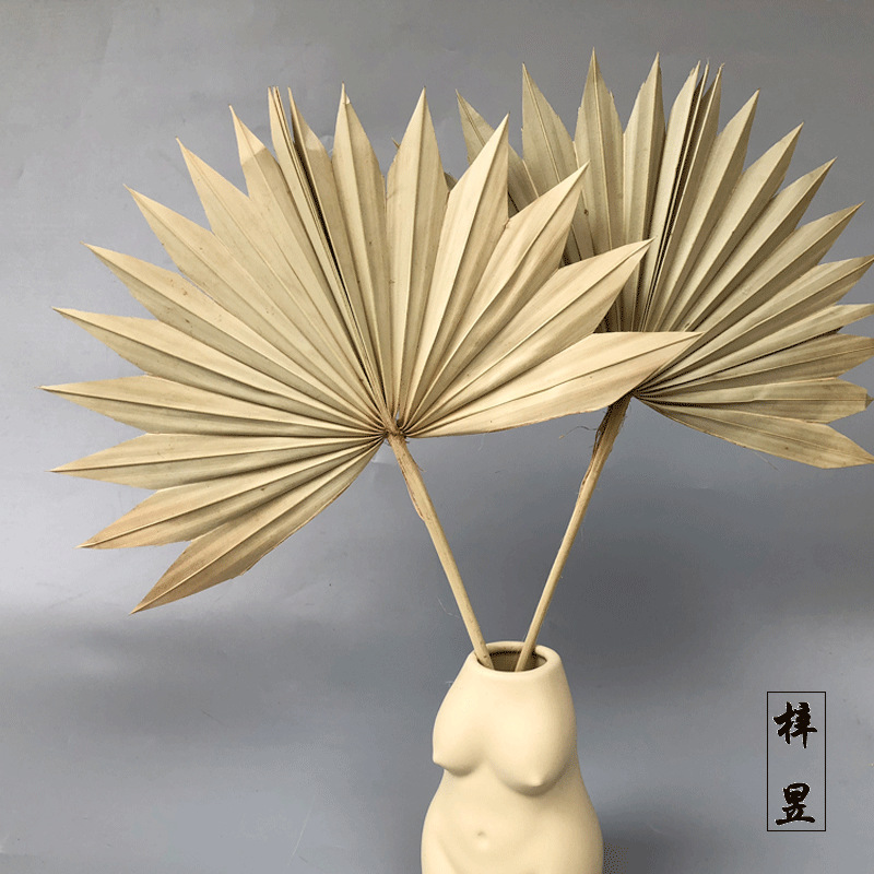 Guanyin fan slap fan sawtooth -shaped sun wedding Amazon sunflower…