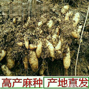 ����F�ڴ��N�NֲҰ���N�Ӹ߮a�҃�������N�������r��