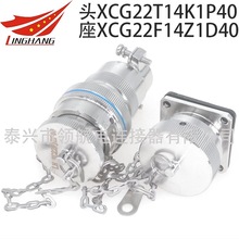 XCG14T5K1P1 XCG18F7Z1D40 XCG22F10K1P40�B�������ղ��^