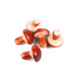 ������ĭСĢ�� diy΢���^��������ɭ�������zӰ�b�Ʒ���l