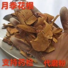 中药材月月红根纯根 月月开根 月季根 月季花根 支持药检 代磨粉